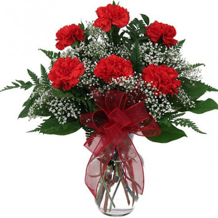 Six red carnations