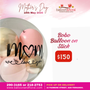 Bobo Balloon on Stick